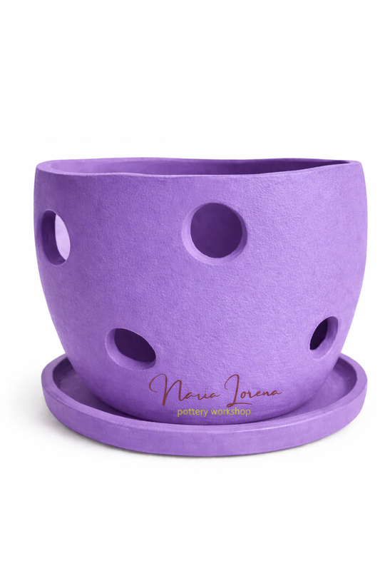 Maceta orquídeas jardín