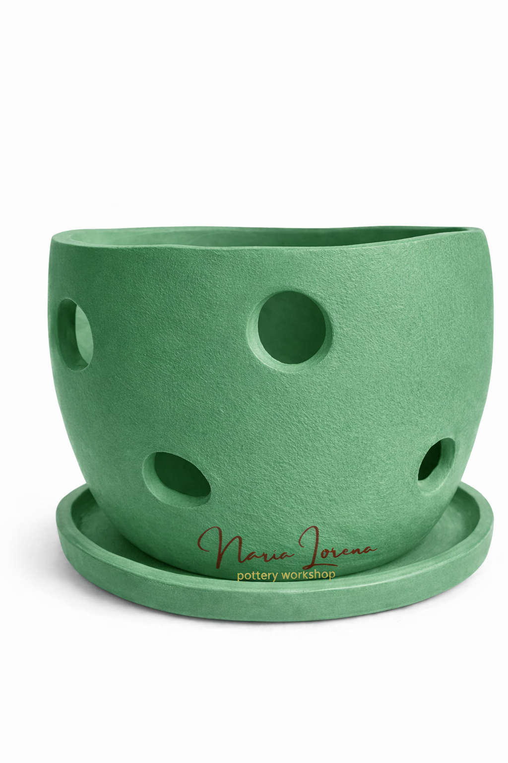 Maceta orquídea jardín verde